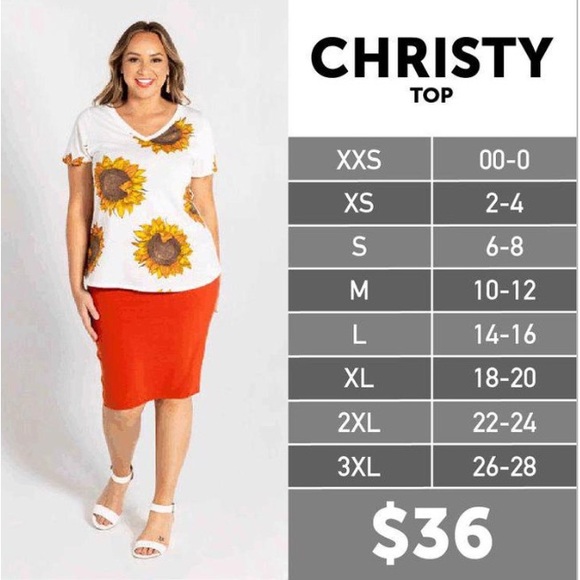Lularoe Christy T v-neck tee size 2X - Picture 9 of 9